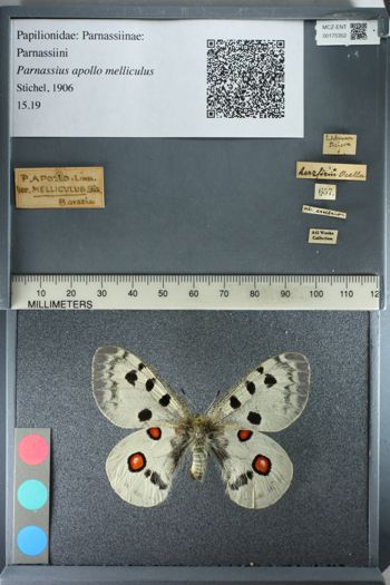 Media type: image;   Entomology 175352